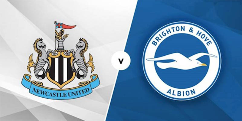Nhận định trận đấu giữa Newcastle United với Brighton & Hove Albion
