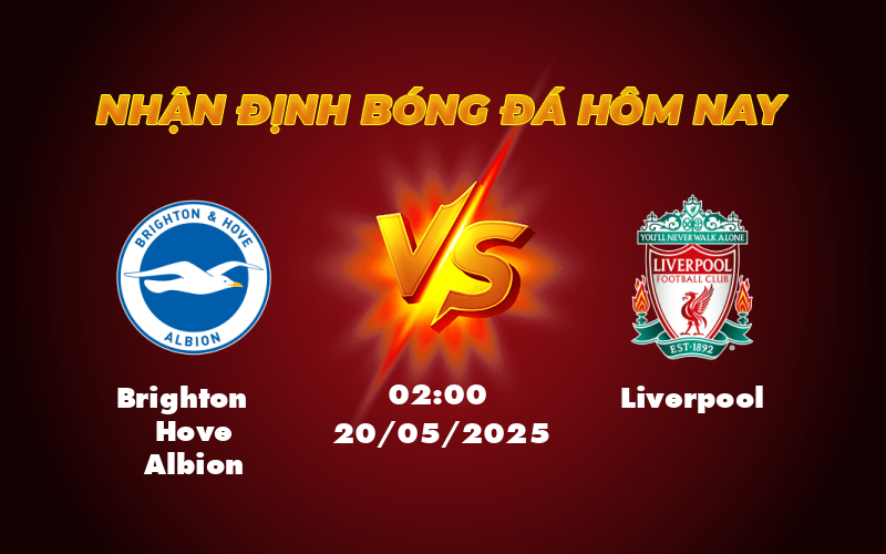 brighton hove albion liverpool 20 05 ngoai hang anh