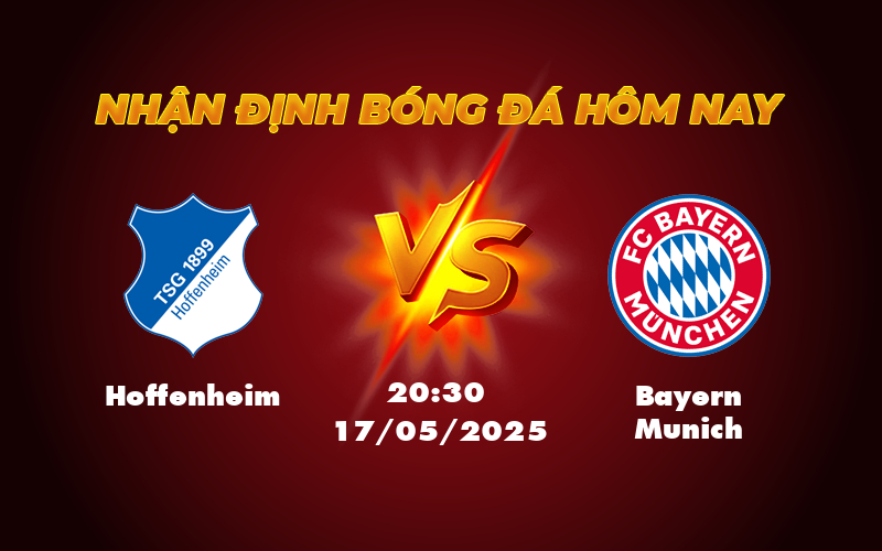 hoffenheim bayern munich 17 05 bundesliga