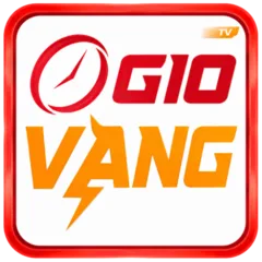 Logo giovang